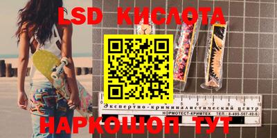 спайс Берёзовский