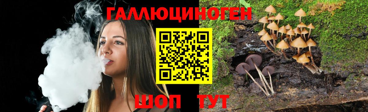Вязники  Галлюциногенные грибы Cubensis  Галлюциногенные грибы мухоморы  Вход с VPN 